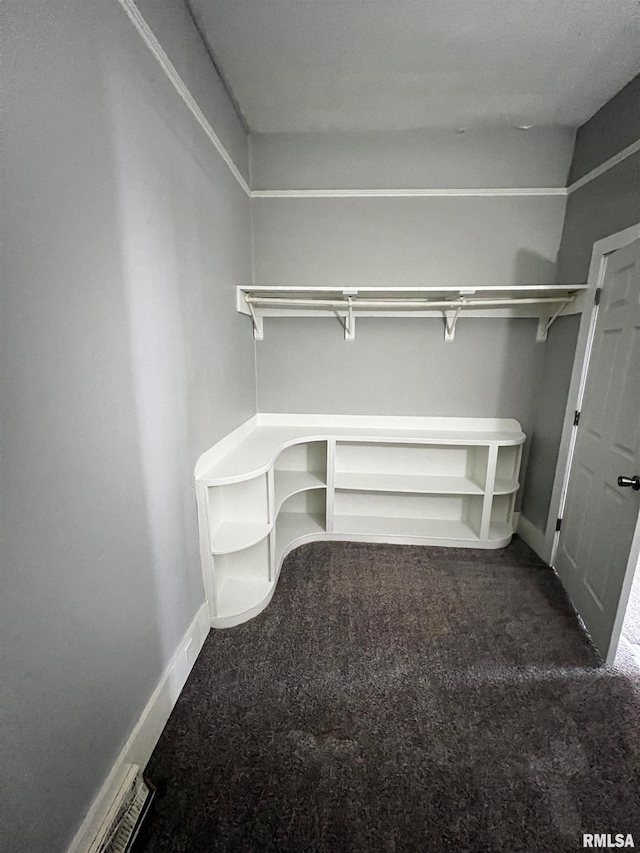 201 N 20th St, East Moline, IL 61244 - walk in closet featuring carpet