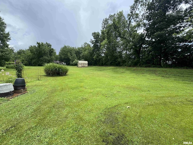 5560 Hidden Acres Ln, Carterville, IL 62918 - view of green lawn featuring a storage unit