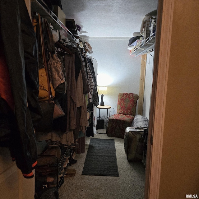 314 Chestnut St, Cambria, IL 62915 - spacious closet featuring carpet