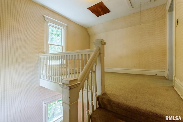 209 N Main St, Alexis, IL 61412 - stairway with carpet flooring, vaulted ceiling, and attic access