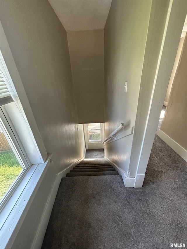 239 15th Ave, East Moline, IL 61244 - staircase featuring carpet floors and plenty of natural light