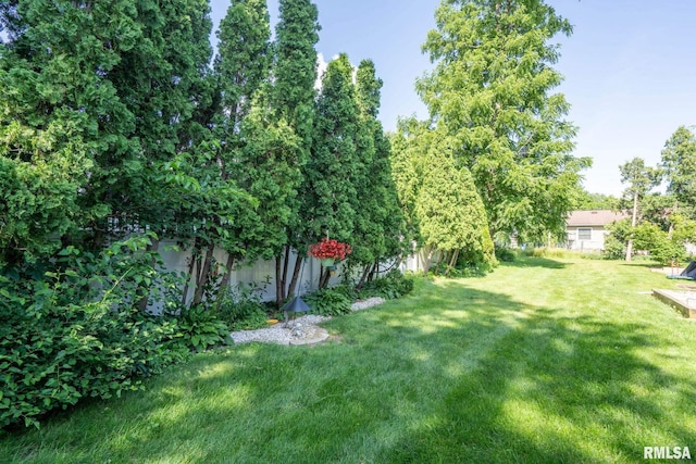 493 44th Avenue Ct, East Moline, IL 61244 - view of grassy yard