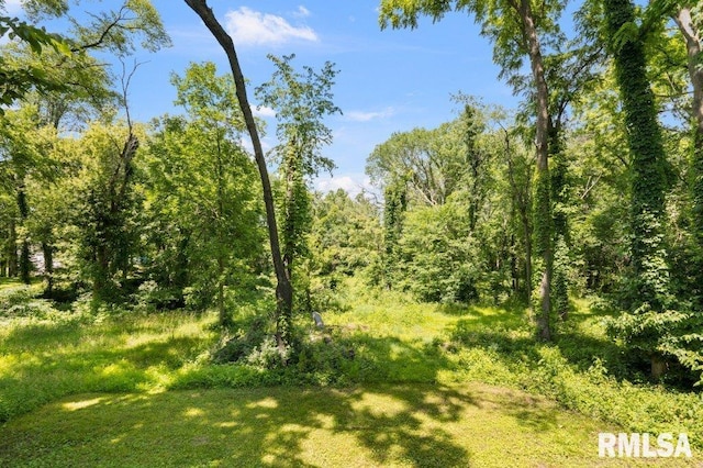 3040 Oak Street Ct, Bettendorf, IA 52722 - view of woods