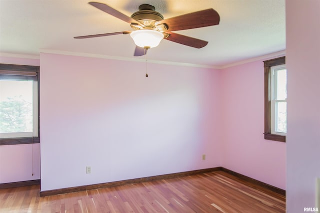3321 State St, Quincy, IL 62301 - empty room with wood finished floors, ornamental molding, and a ceiling fan