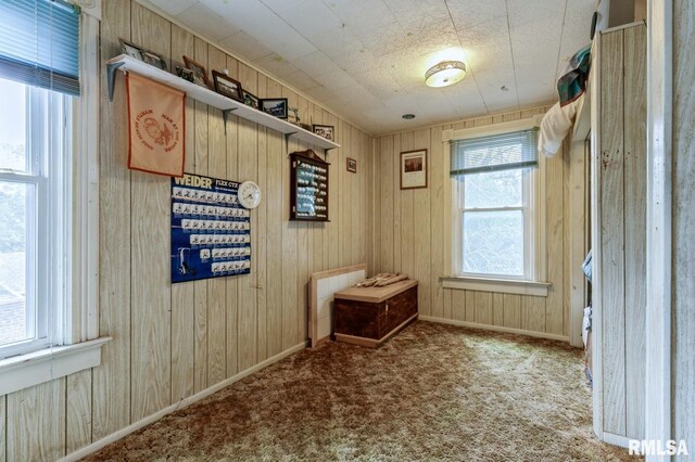 1954 Glendale Rd, Clinton, IA 52732 - photo 18