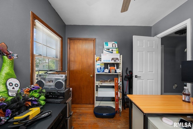 2207 4th St Unit A, East Moline, IL 61244 - kitchen featuring dark wood-style flooring and ceiling fan