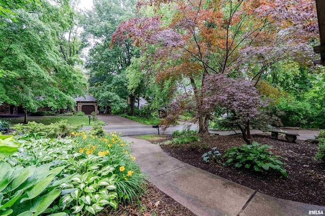 17 Wildwood Trl, Bettendorf, IA 52722 - view of property's community