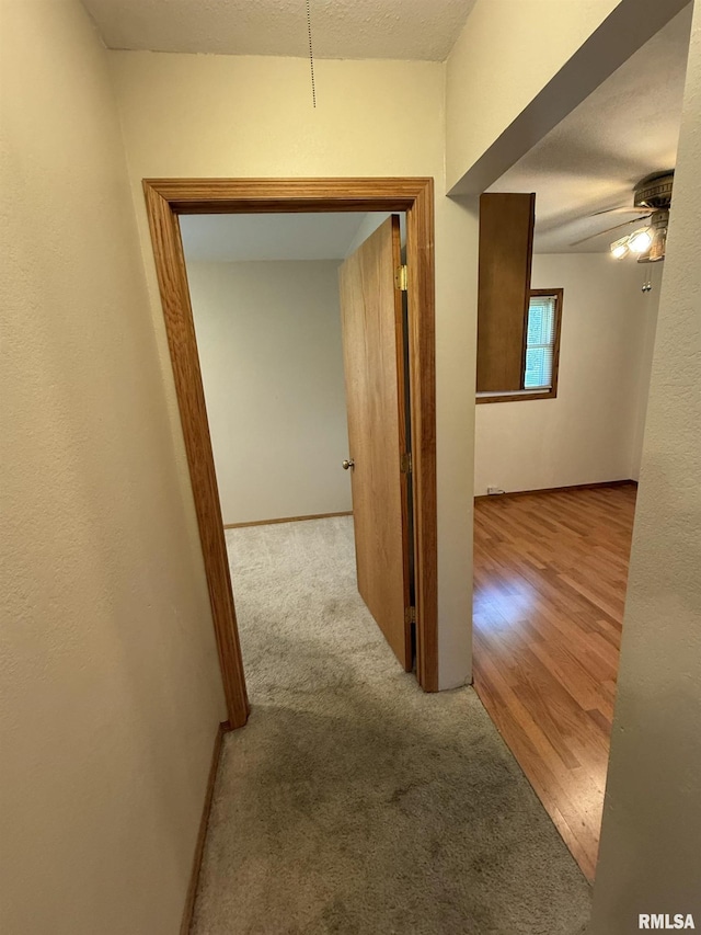 503 Lafayette St, Lafayette, IL 61449 - hall with carpet and baseboards