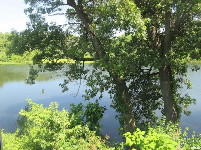 32 Crescent Lk, Alpha, IL 61413 - water view
