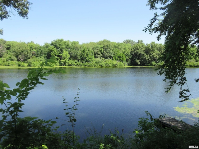 32 Crescent Lk, Alpha, IL 61413 - water view featuring a heavily wooded area