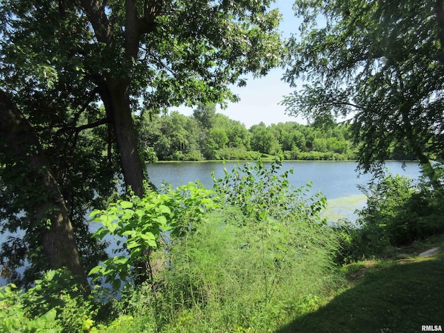 32 Crescent Lk, Alpha, IL 61413 - water view featuring a forest