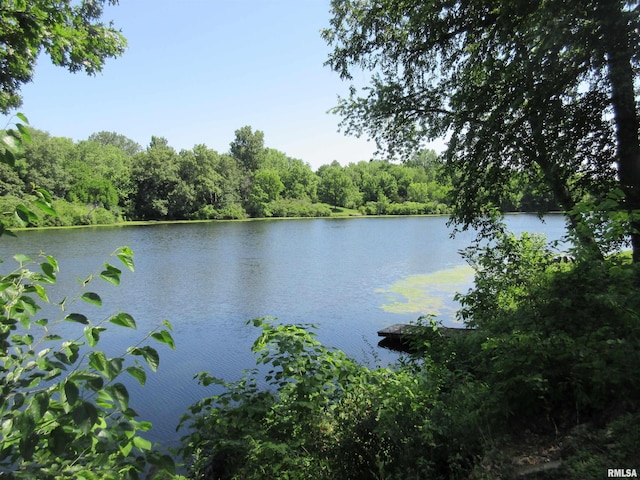 32 Crescent Lk, Alpha, IL 61413 - water view with a forest