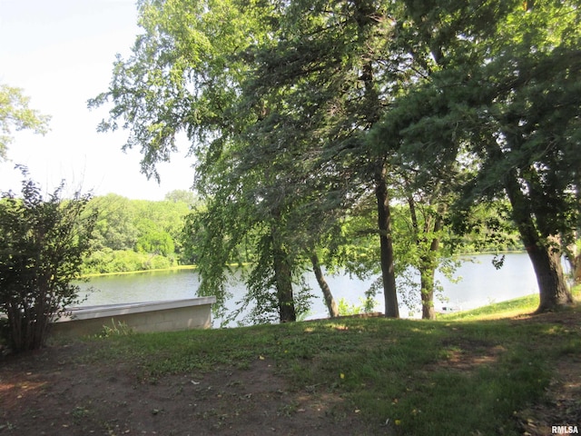 32 Crescent Lk, Alpha, IL 61413 - water view with a heavily wooded area