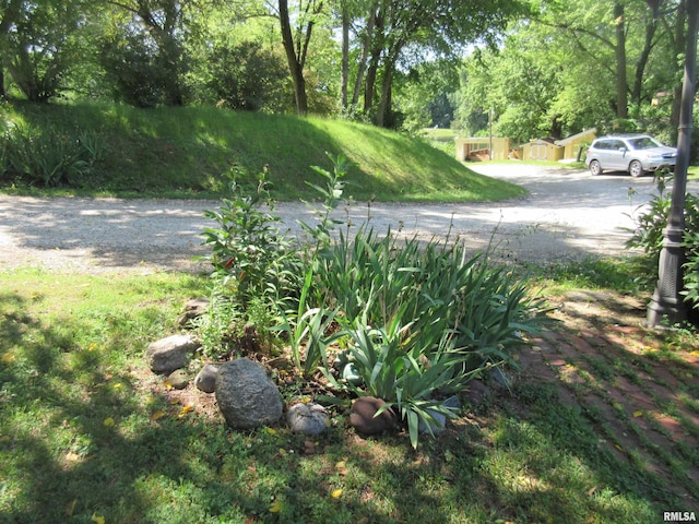 32 Crescent Lk, Alpha, IL 61413 - view of yard