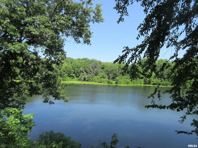 32 Crescent Lk, Alpha, IL 61413 - water view featuring a forest