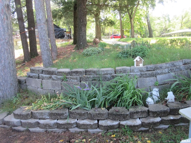 32 Crescent Lk, Alpha, IL 61413 - view of yard