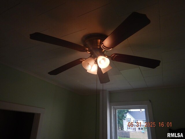 525 E Marion St, Princeton, IL 61356 - photo 31