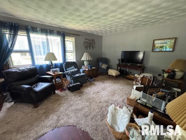 1214 S 12th St, Clinton, IA 52732 - photo 3