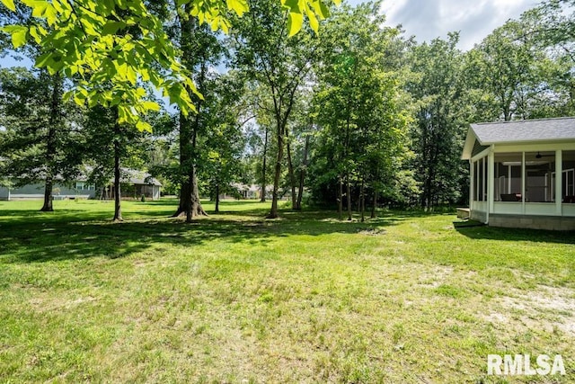 2504 Joel Dr, Herrin, IL 62948 - photo 39