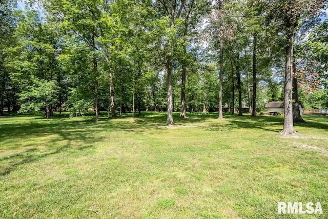 2504 Joel Dr, Herrin, IL 62948 - photo 40