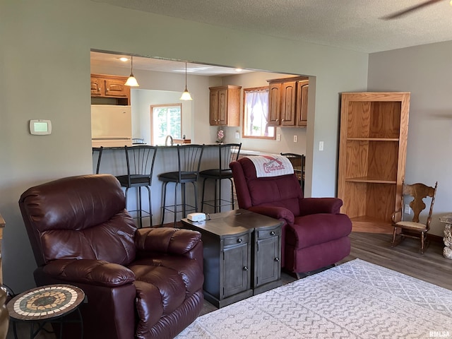 420 E Garfield St, Kewanee, IL 61443 - living room with wood finished floors and a textured ceiling