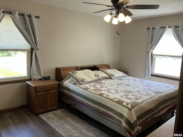 420 E Garfield St, Kewanee, IL 61443 - bedroom featuring wood finished floors, multiple windows, and a ceiling fan