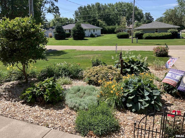 420 E Garfield St, Kewanee, IL 61443 - view of grassy yard