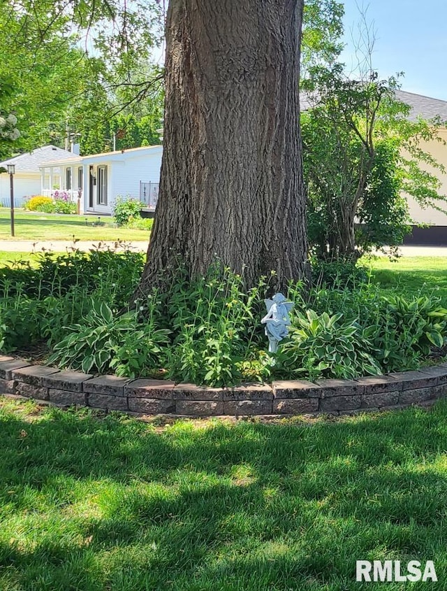 420 E Garfield St, Kewanee, IL 61443 - view of grassy yard