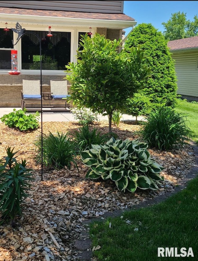 420 E Garfield St, Kewanee, IL 61443 - view of yard
