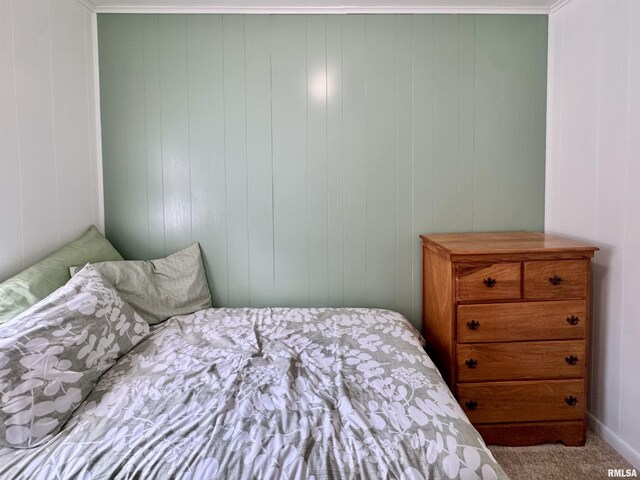 503 N Church St, Albany, IL 61230 - photo 20