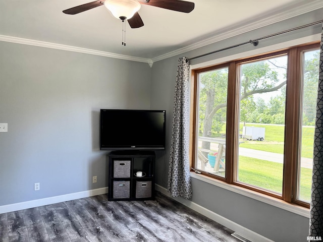 503 N Church St, Albany, IL 61230 - photo 10