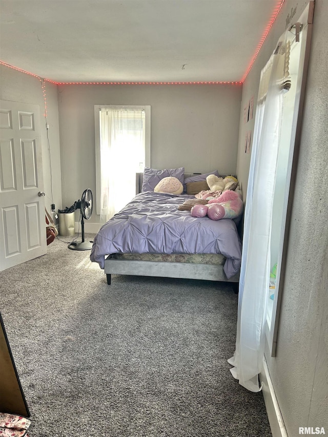 1923 Pershing Ave, Davenport, IA 52803 - view of carpeted bedroom