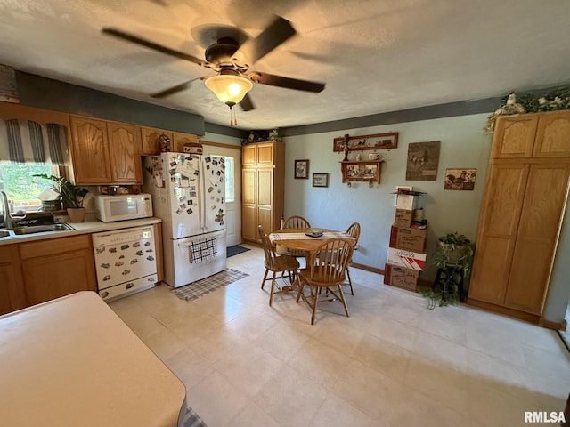 804 SE 1st St, Galva, IL 61434 - photo 17