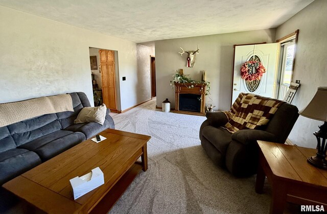 804 SE 1st St, Galva, IL 61434 - photo 21