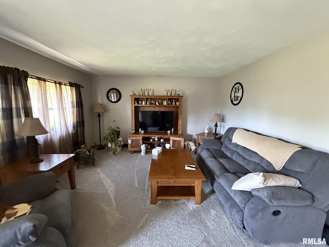 804 SE 1st St, Galva, IL 61434 - photo 23