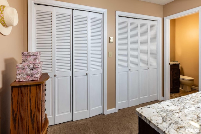 1814 Testa Dr, Marion, IL 62959 - carpeted bedroom featuring two closets