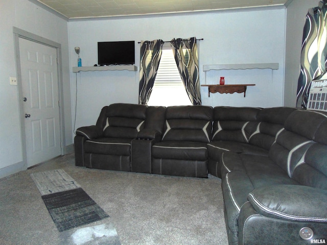 1306 Newton Ave, Johnston City, IL 62959 - view of carpeted living room