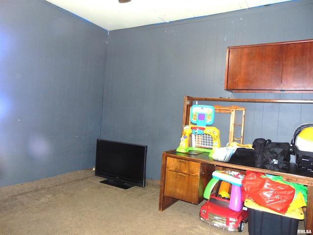 1306 Newton Ave, Johnston City, IL 62959 - office area featuring carpet floors