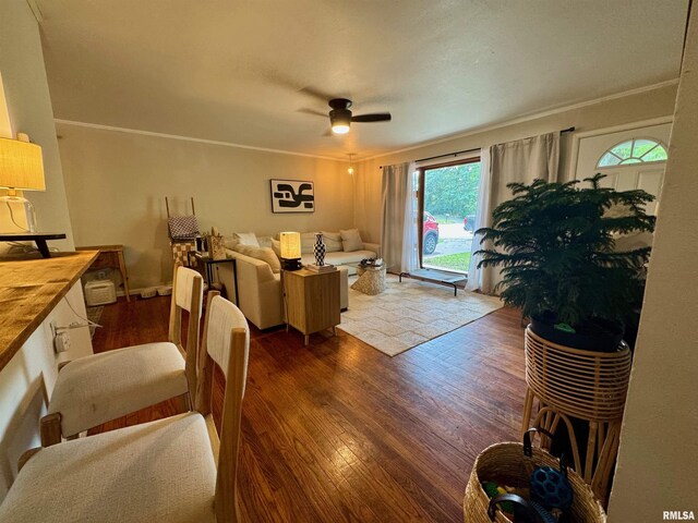 511 S Eason Dr, Carbondale, IL 62901 - photo 5
