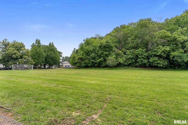 921 45th St, Rock Island, IL 61201 - view of yard