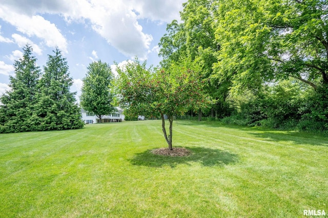 10984 150th St, Davenport, IA 52804 - view of green lawn