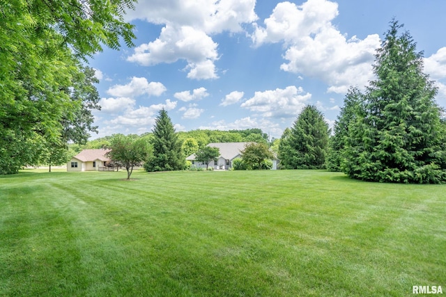 10984 150th St, Davenport, IA 52804 - view of green lawn