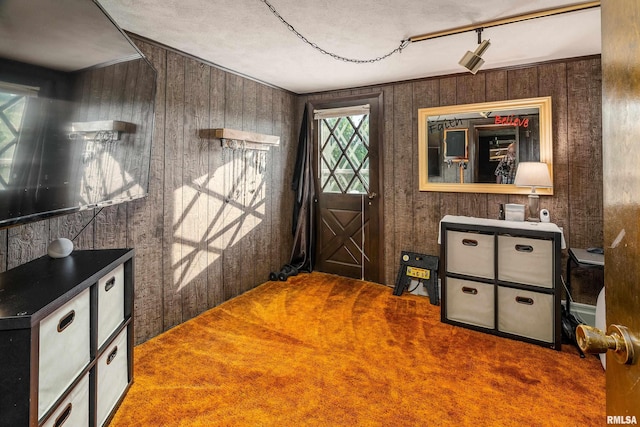 2305 Weaver Rd, Herrin, IL 62948 - carpeted entrance foyer with wooden walls