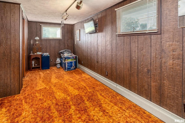 2305 Weaver Rd, Herrin, IL 62948 - below grade area with wood walls, carpet floors, and a textured ceiling