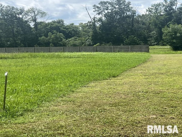 2305 Weaver Rd, Herrin, IL 62948 - photo 38