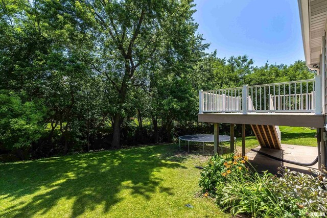 4345 Amesbury Dr, Bettendorf, IA 52722 - photo 41