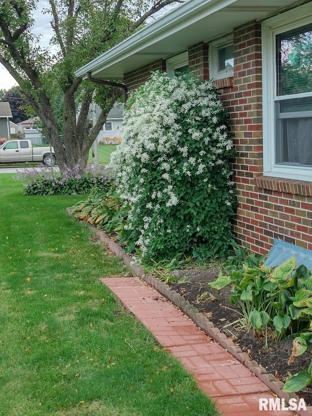206 E 13th St, Tipton, IA 52772 - view of green lawn