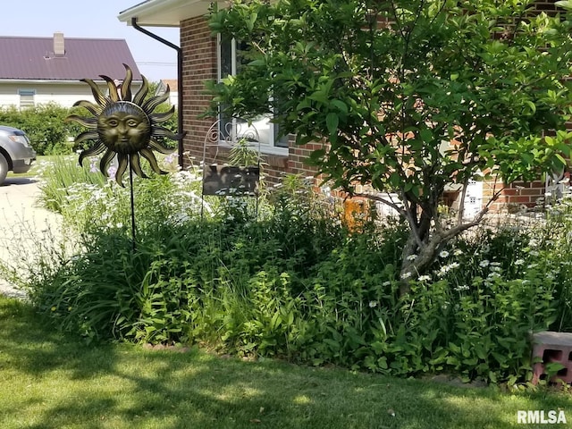 206 E 13th St, Tipton, IA 52772 - view of yard