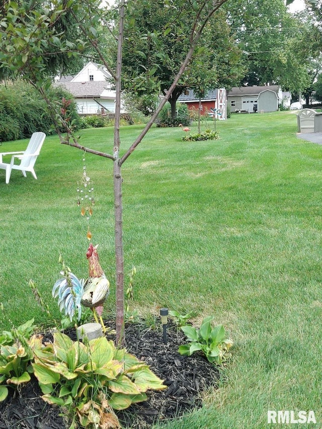 206 E 13th St, Tipton, IA 52772 - view of green lawn