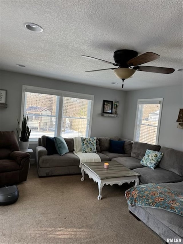 3119 15th St Unit C, Moline, IL 61265 - living area featuring plenty of natural light, a textured ceiling, a ceiling fan, and carpet flooring